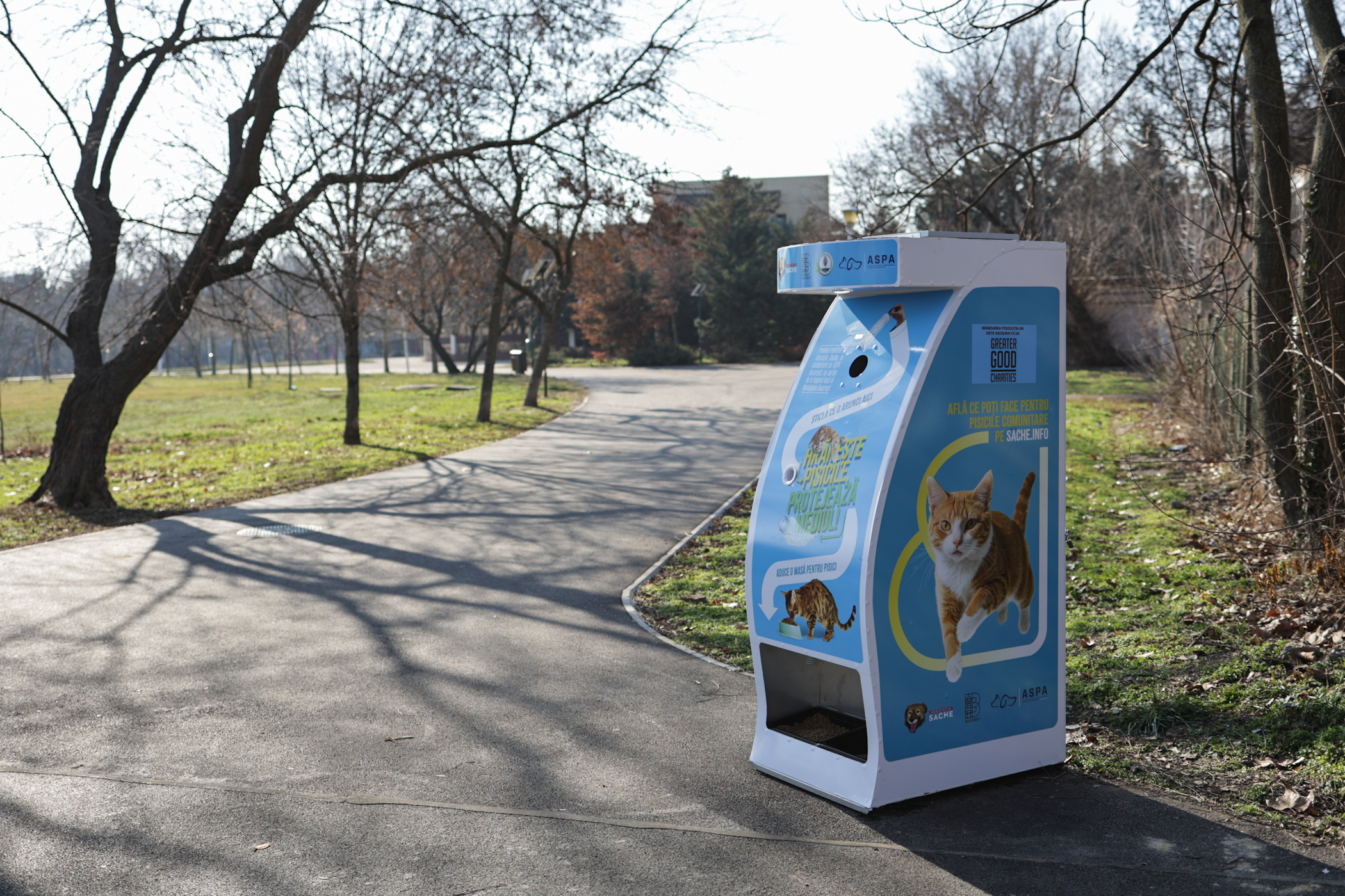 Donezi o sticlă de plastic și hrănești gratuit pisicile din parcul Tineretului din București. A fost montat primul dispozitiv inteligent pentru animăluțe