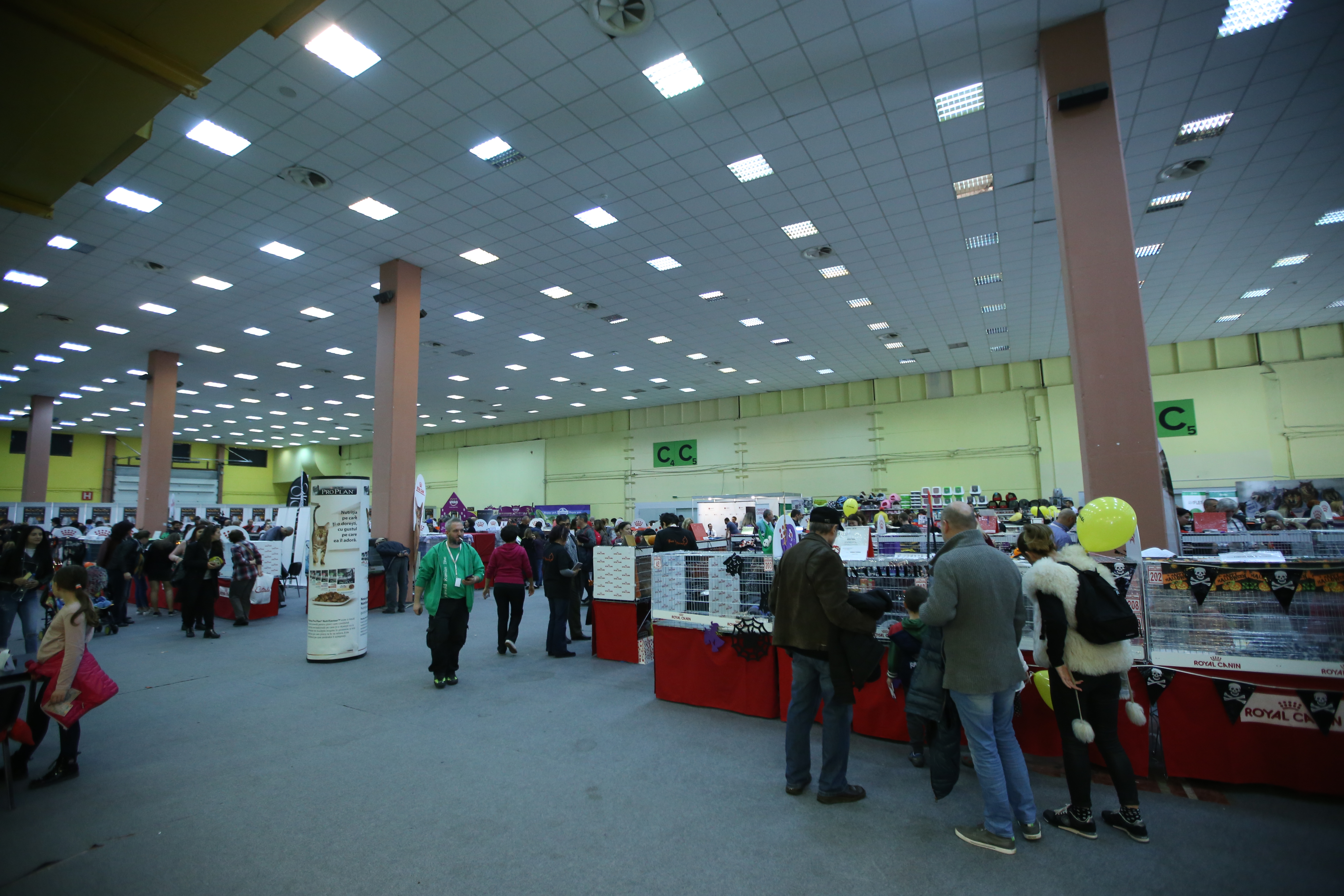 FOTO EXCLUSIV/ Expoziție de feline la Romexpo. Peste 250 de pisici de rasă din toată lumea vor putea fi admirate în acest weekend