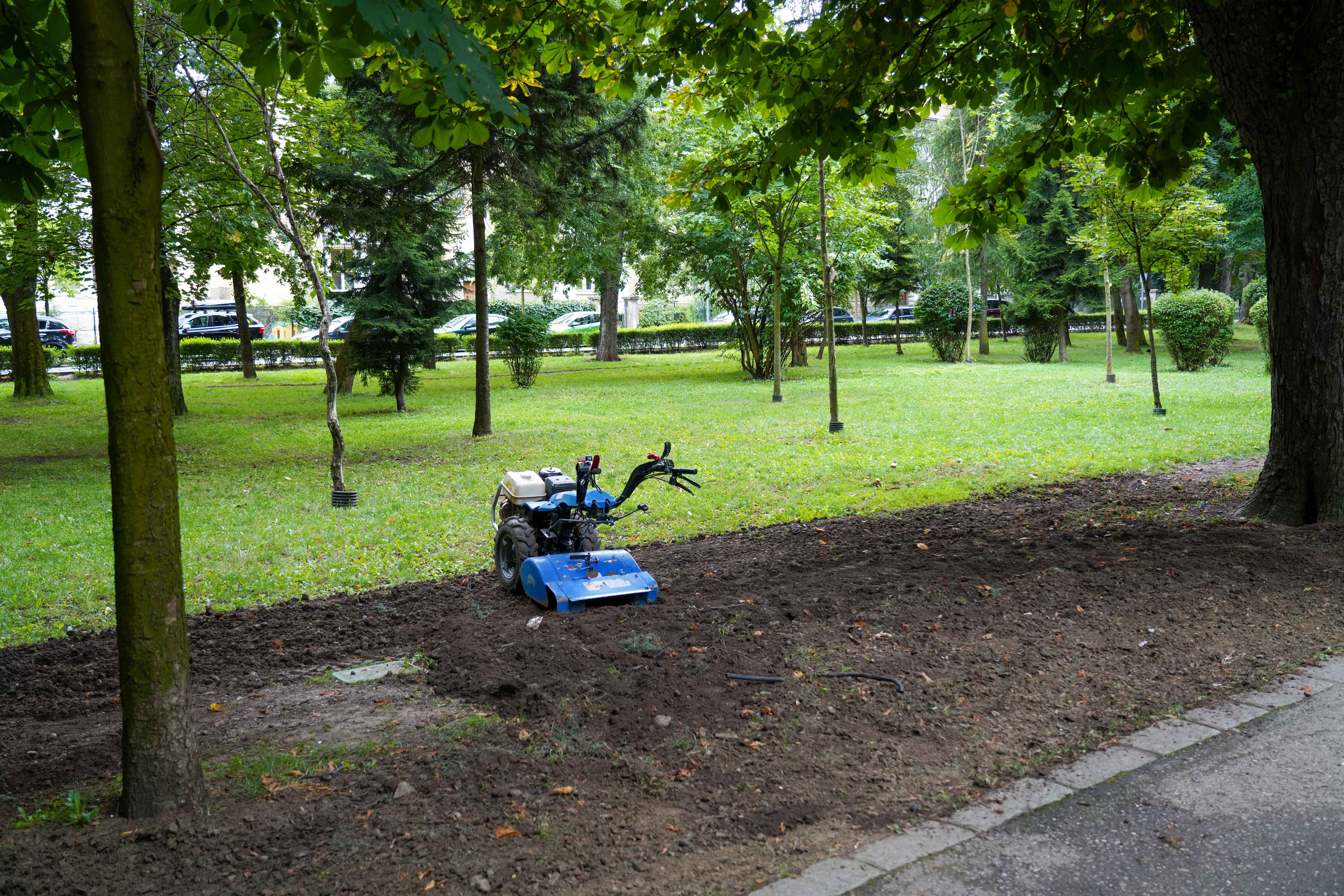 Napocalipsa, după Untold. Cum arată Parcul Mare la finalul festivalului de la Cluj