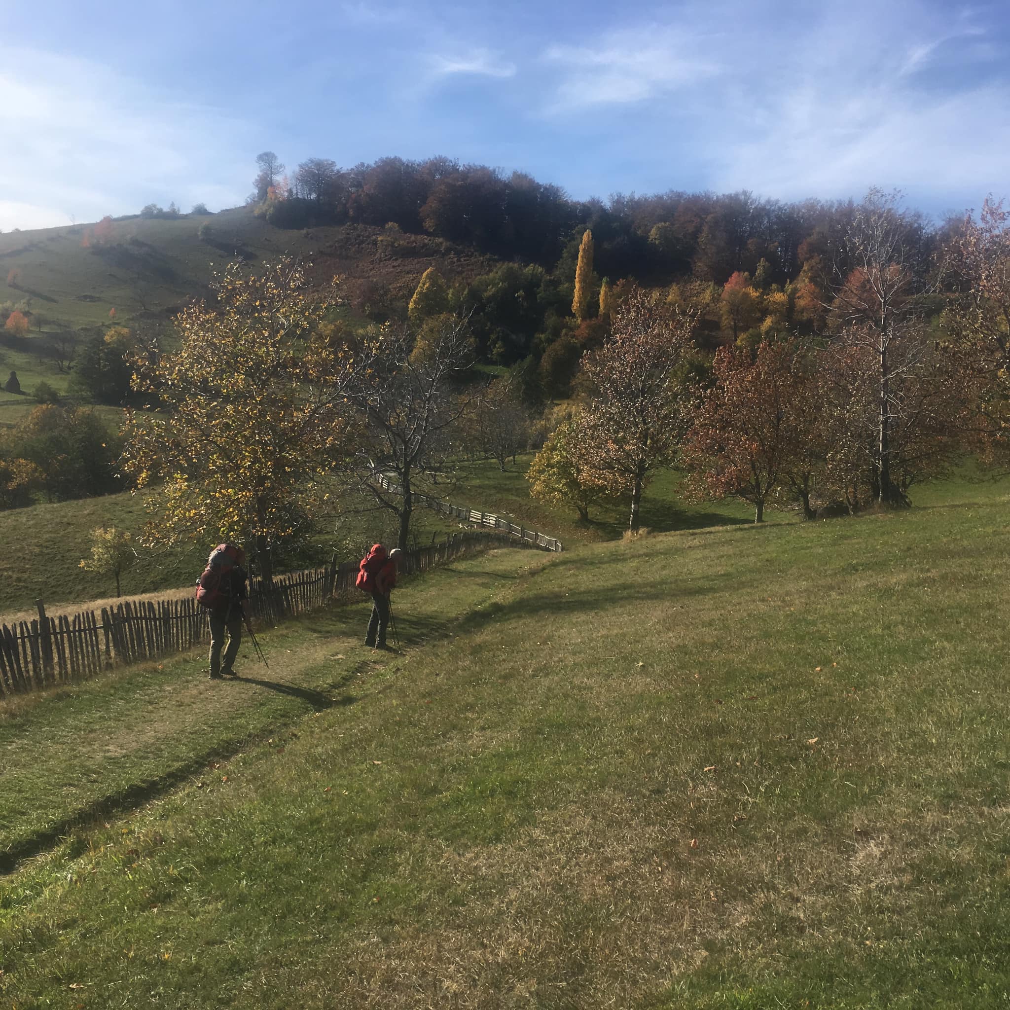 Via Transilvanica, descrisă de călătorii care au străbătut integral traseul de 1.400 de kilometri: „Vei afla poate că ești mai puternic decât credeai”