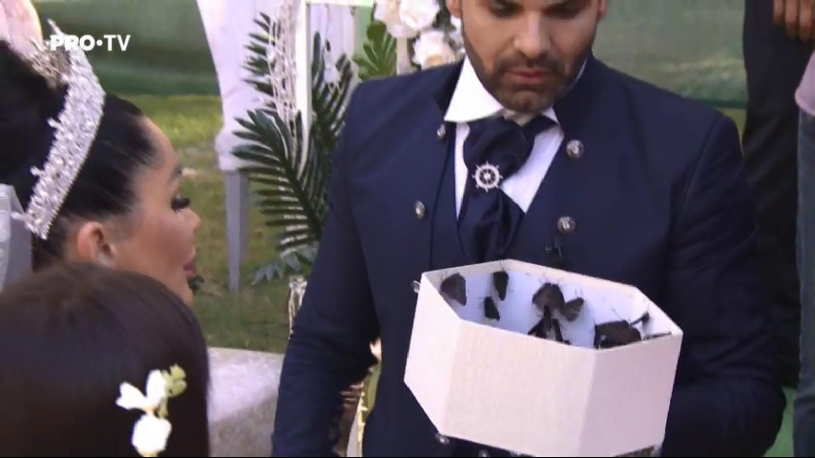 FOTO | Moment neplăcut la nunta Brigittei Sfăt cu Florin Pastramă. Au adus fluturi, dar le-au zburat direct în față