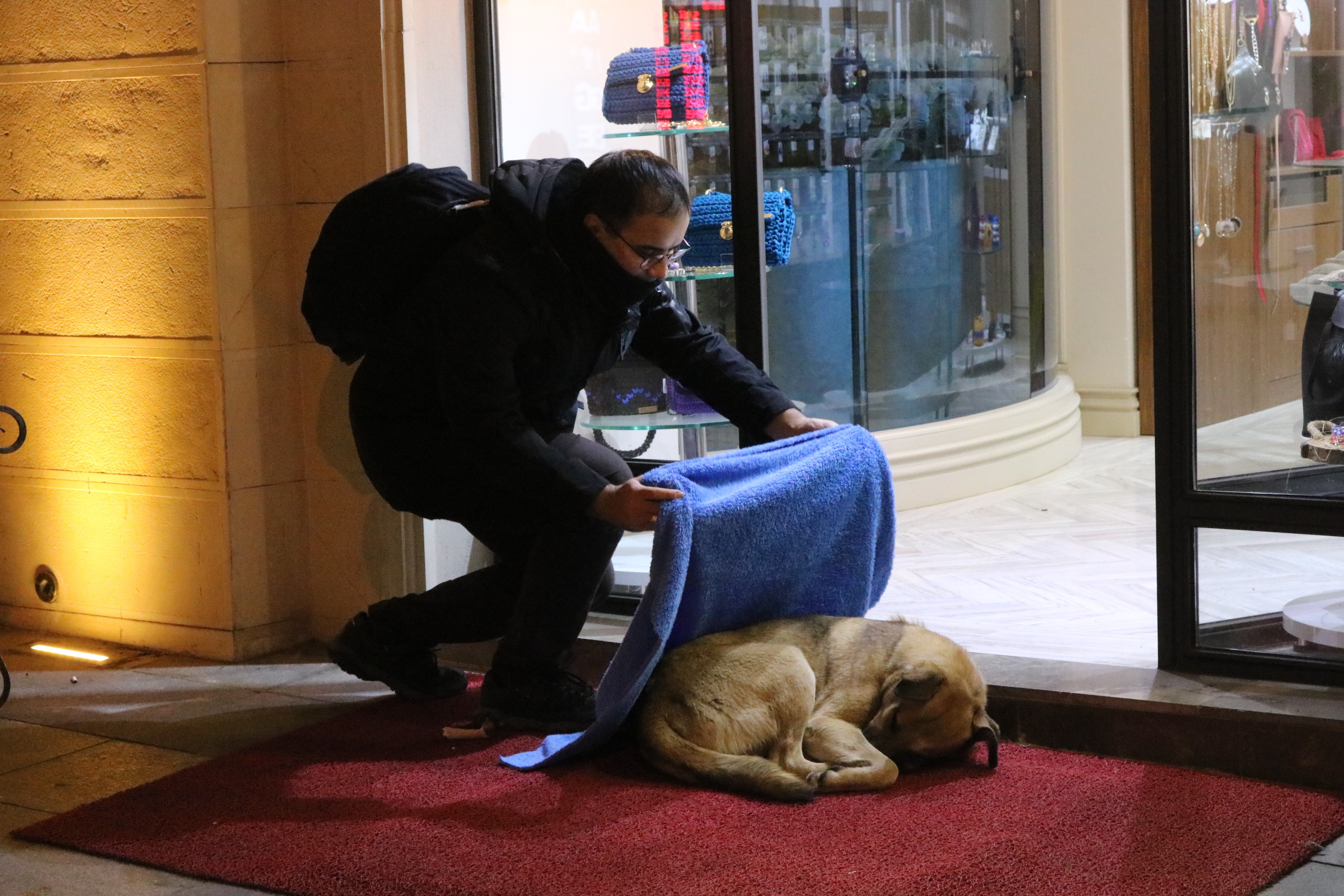 FOTO | Un medic stomatolog învelește cu pături animalele de pe stradă pentru ca ele nu moară de frig