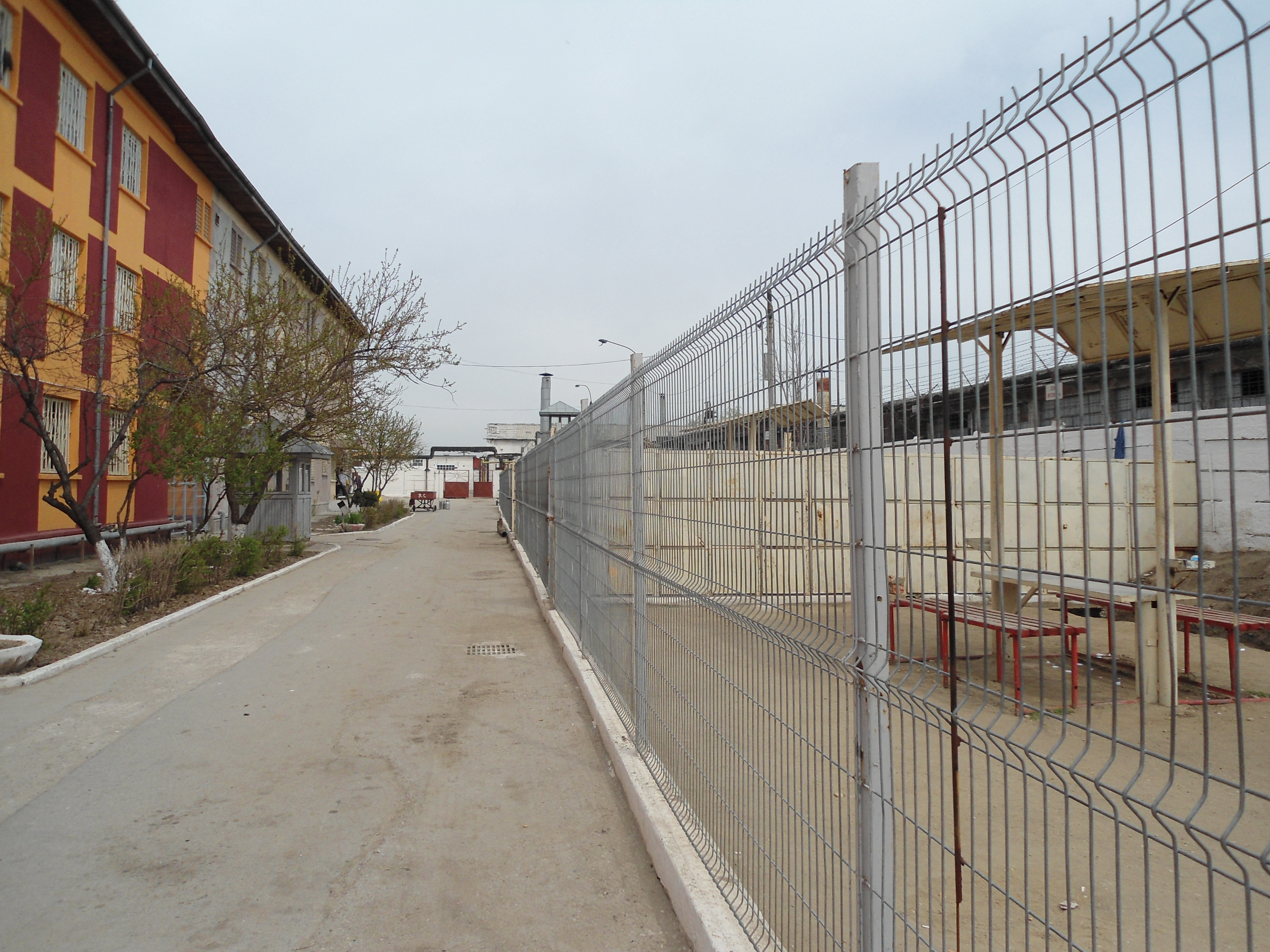 FOTOGRAFII DE COLECȚIE | Condițiile din pușcării care au dus la eliberarea a mii de deținuți