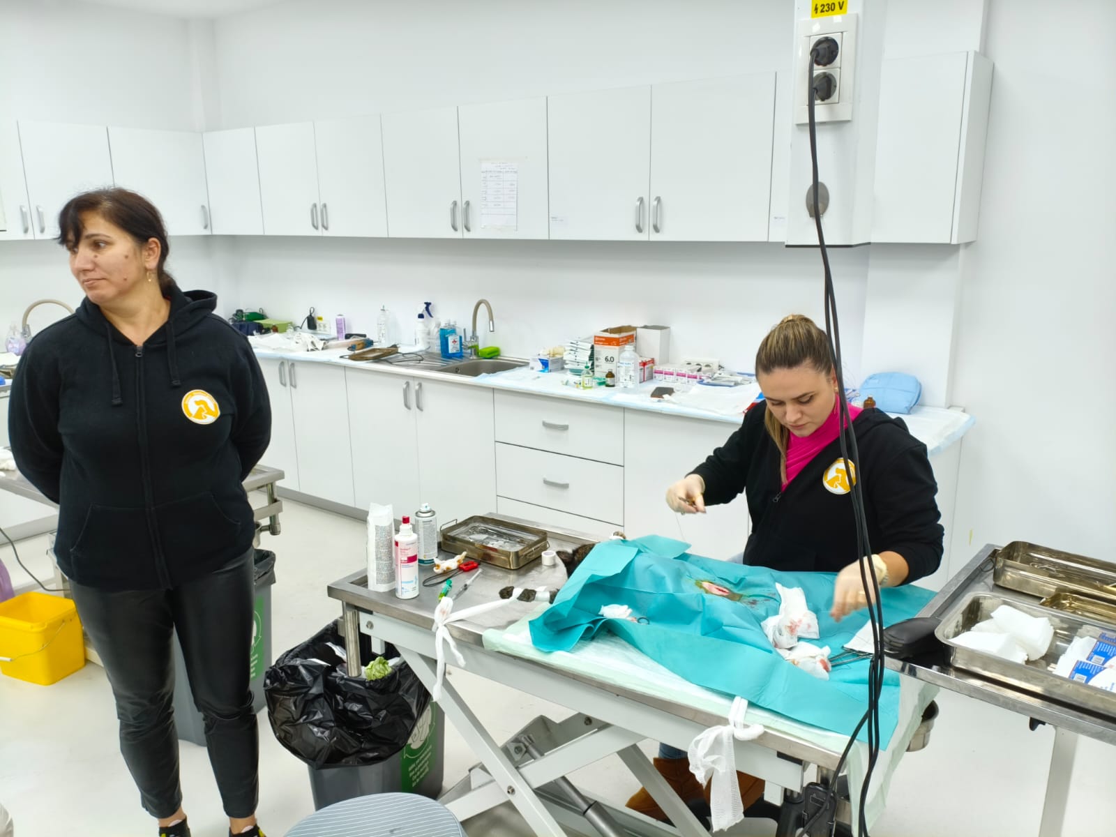 Orașul câinilor. Localitatea din România care a ajuns să găzduiască cel mai mare adăpost din lume dedicat animalelor fără stăpân