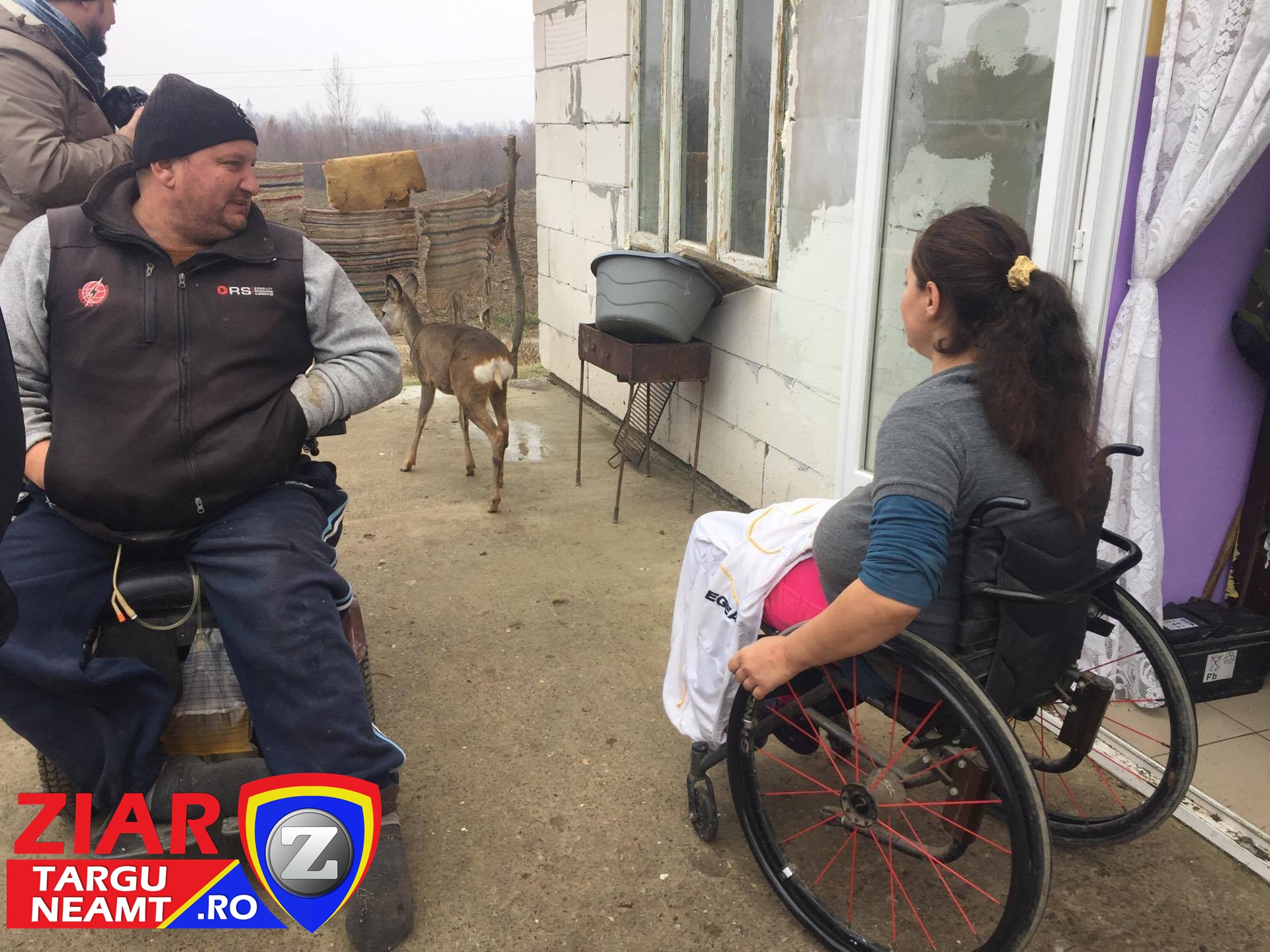Pui de căprioară adoptat de doi soți din Târgu Neamţ, ambii în scaun cu rotile | FOTO