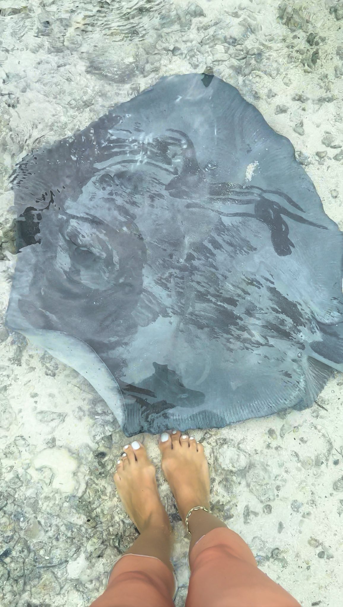 Imagini din vacanța Corinei Caragea în Bora Bora. Prezentatoarea de la Pro TV a apărut în costum de baie