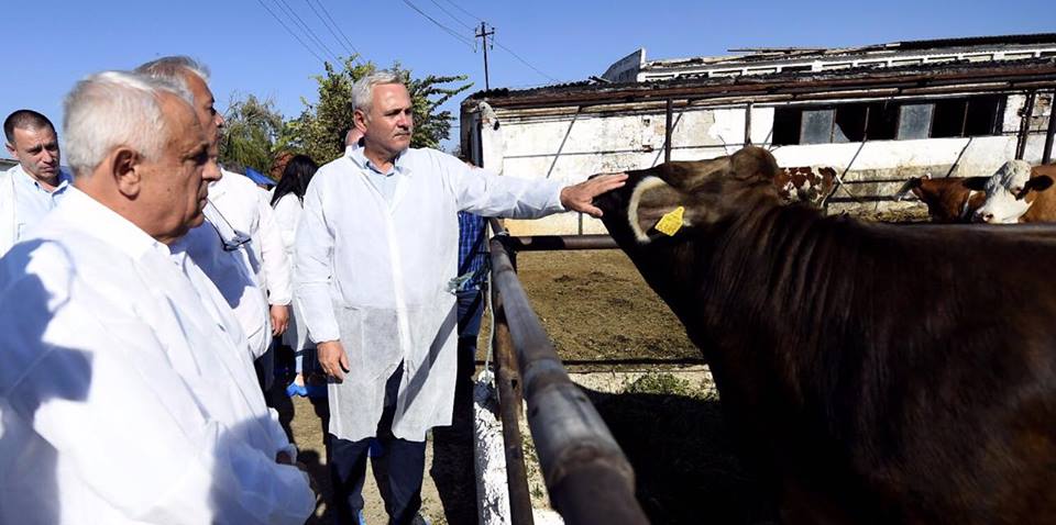 Atunci și Acum. Liviu Dragnea, inginerul din Gratia, intrat în politică în PD și ajuns premierul din umbră al României