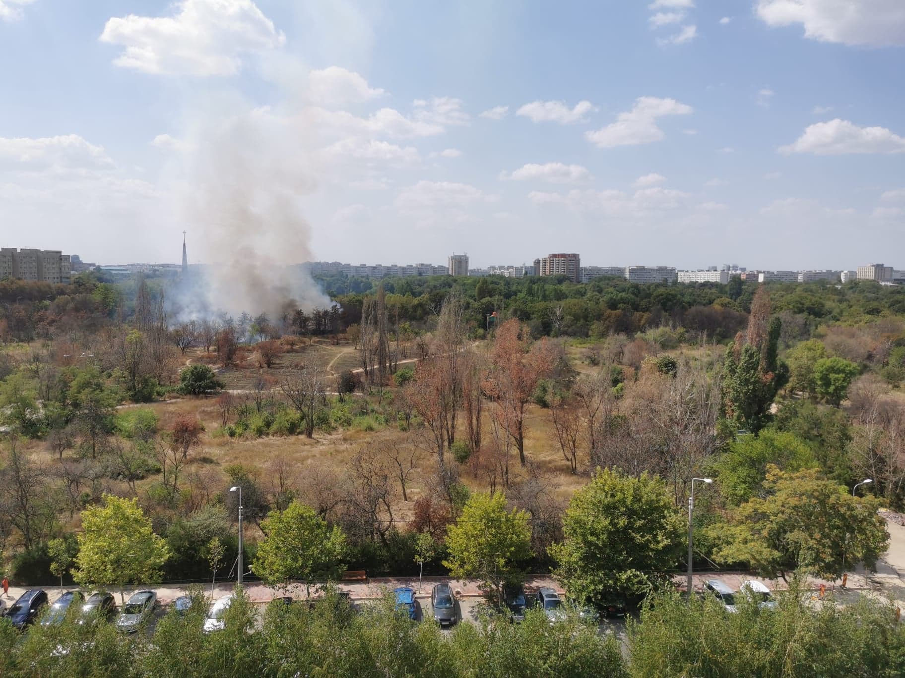 Incendiu de vegetaţie în parcul IOR din Bucureşti. Pompierii intervin cu trei autospeciale