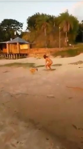 Pățania unei turiste pe o plajă din Mexic. Un câine a lăsat-o fără slip! | FOTO
