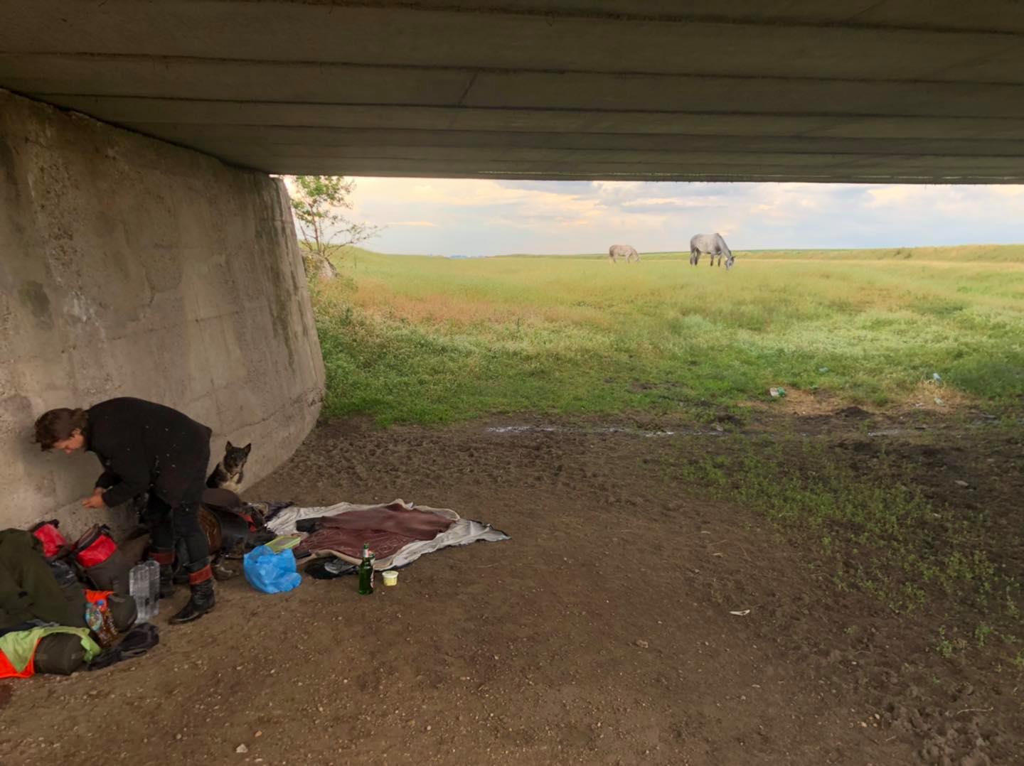 Aventurile celor doi turiști-călăreți care s-au rătăcit în Craiova. „România este o destinație de vis”
