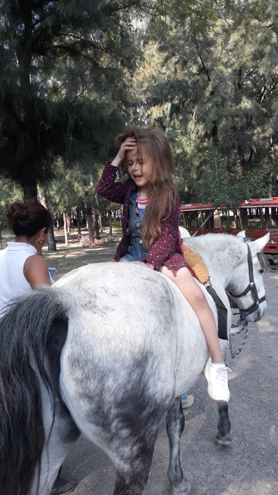 VIDEO/ Terapie cu delfini la 10.000 de kilometri distanță, pentru fetița ei diagnosticată cu autism. Cum a ajuns o mamă din Gorj să facă voluntariat în Mexic