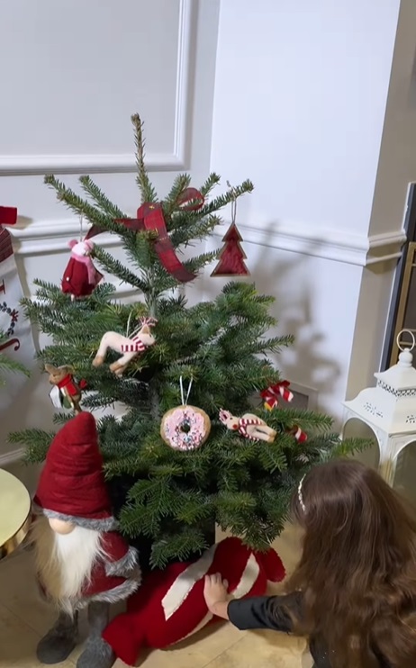 Imagini din casa Ancăi Serea, decorată de Crăciun. A împodobit doi brazi, unul e alb și excentric, iar altul e natural, în ghiveci