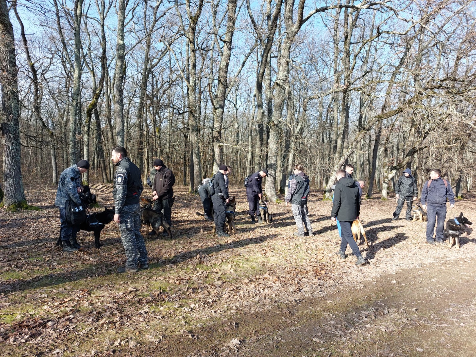 Studentă din Sibiu, dispărută de aproape o lună, căutată cu drone și peste 350 de oameni. Ce știu autoritățile