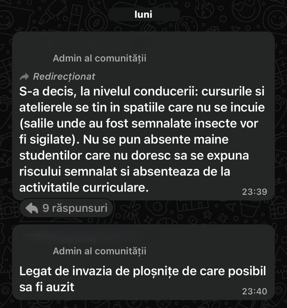 Universitatea de Arhitectură „Ion Mincu”, invadată de ploșnițe și șobolani. Mulți studenți refuză să mai participe la cursuri