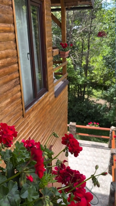 Andreea Marin, imagini în costum de baie la Telega. Cum arată casa de la țară unde se refugiază vedeta: „Locul continuă să fie un dar”
