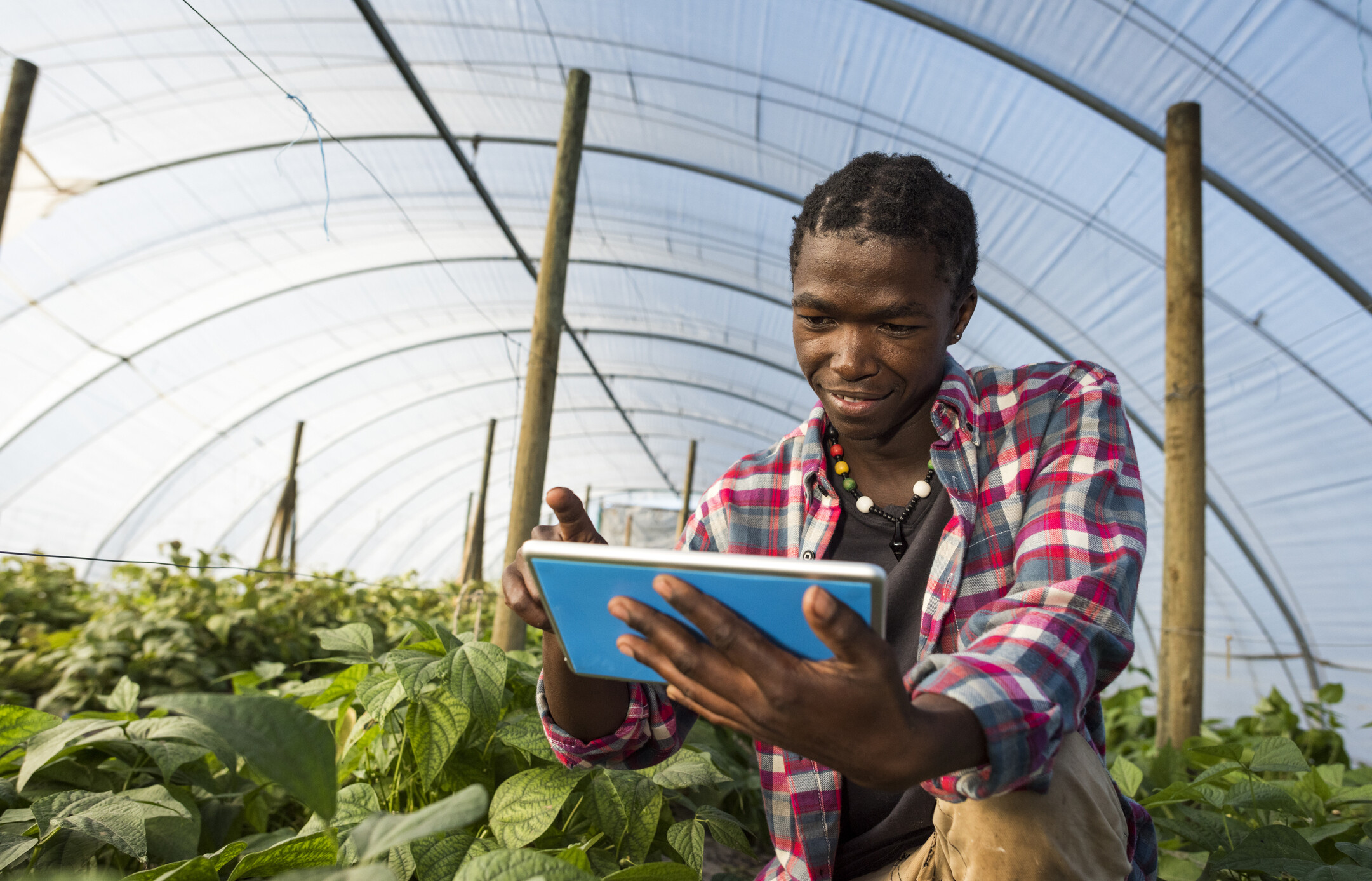Top 10 African countries that received the most U.S. foreign aid for agriculture in 2024