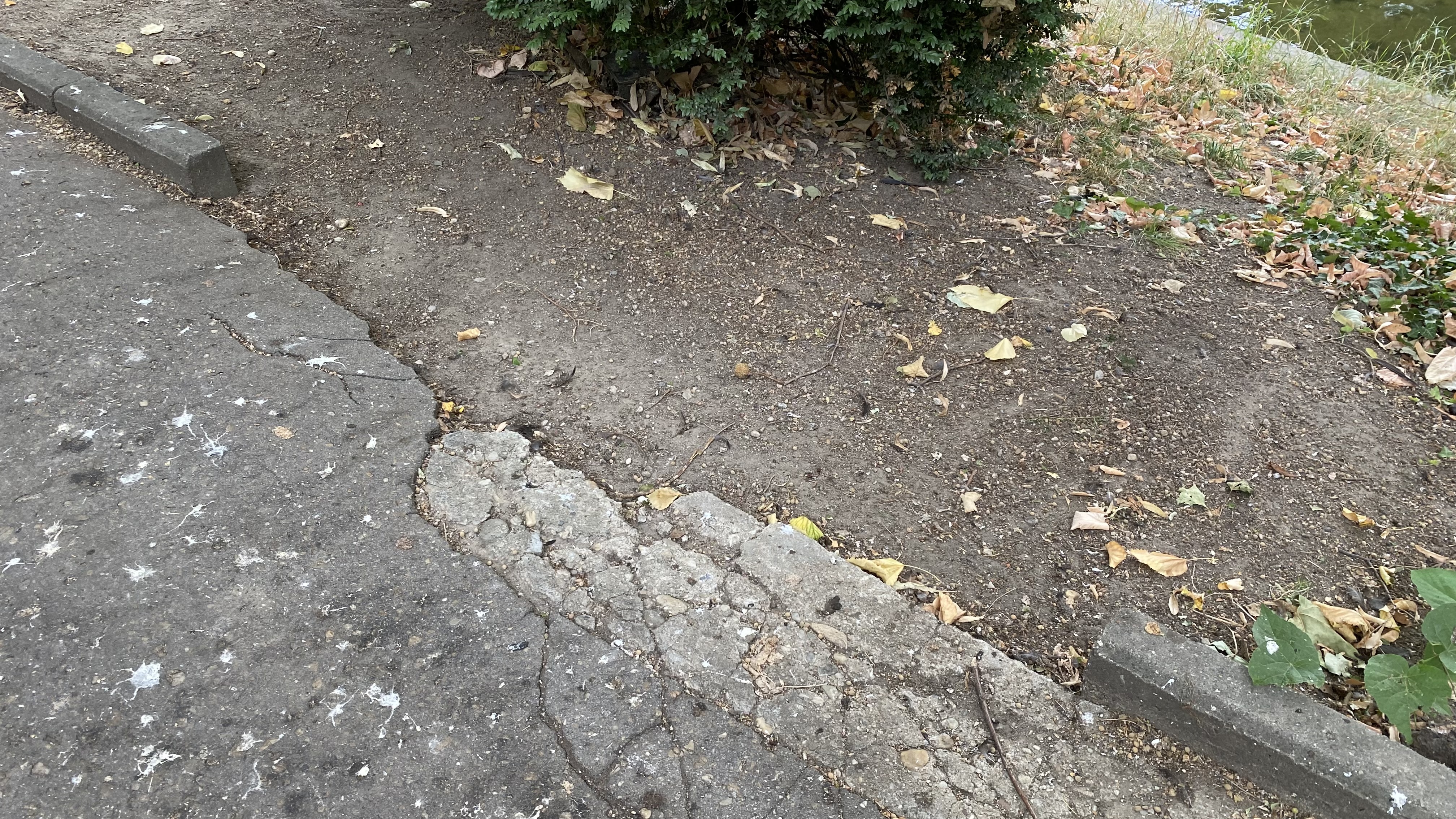 Cișmigiu, mândria tristă a Bucureștiului: pământ în loc de iarbă, alei distruse, garduri rupte și mirosuri insuportabile