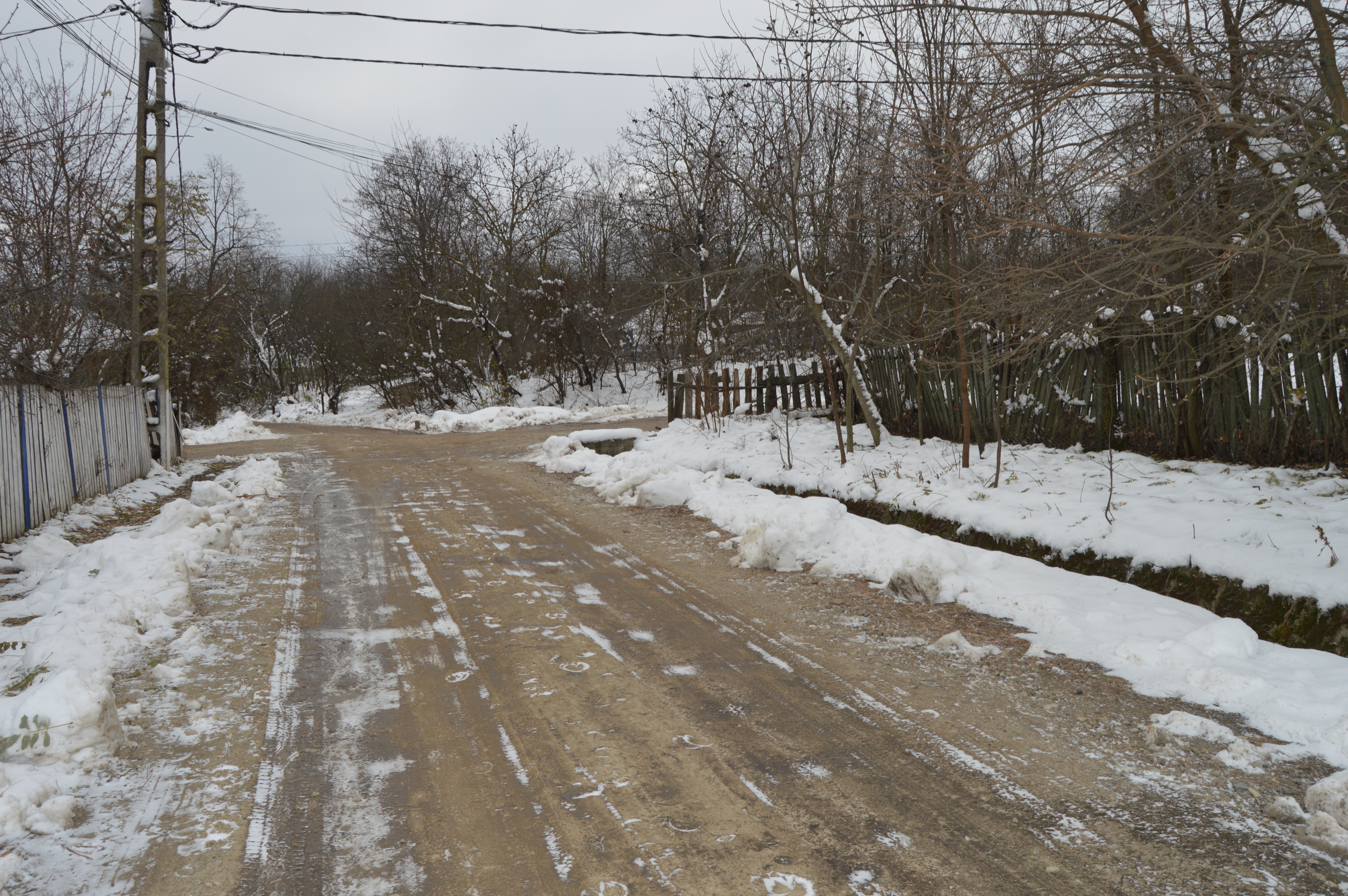 GALERIE FOTO/ Profira Baciu sărbătorește Ziua Națională cu urechea lipită de radio și are un mesaj pentru guvernanți: "Să ne aducă acasă  copiii din străinătate"