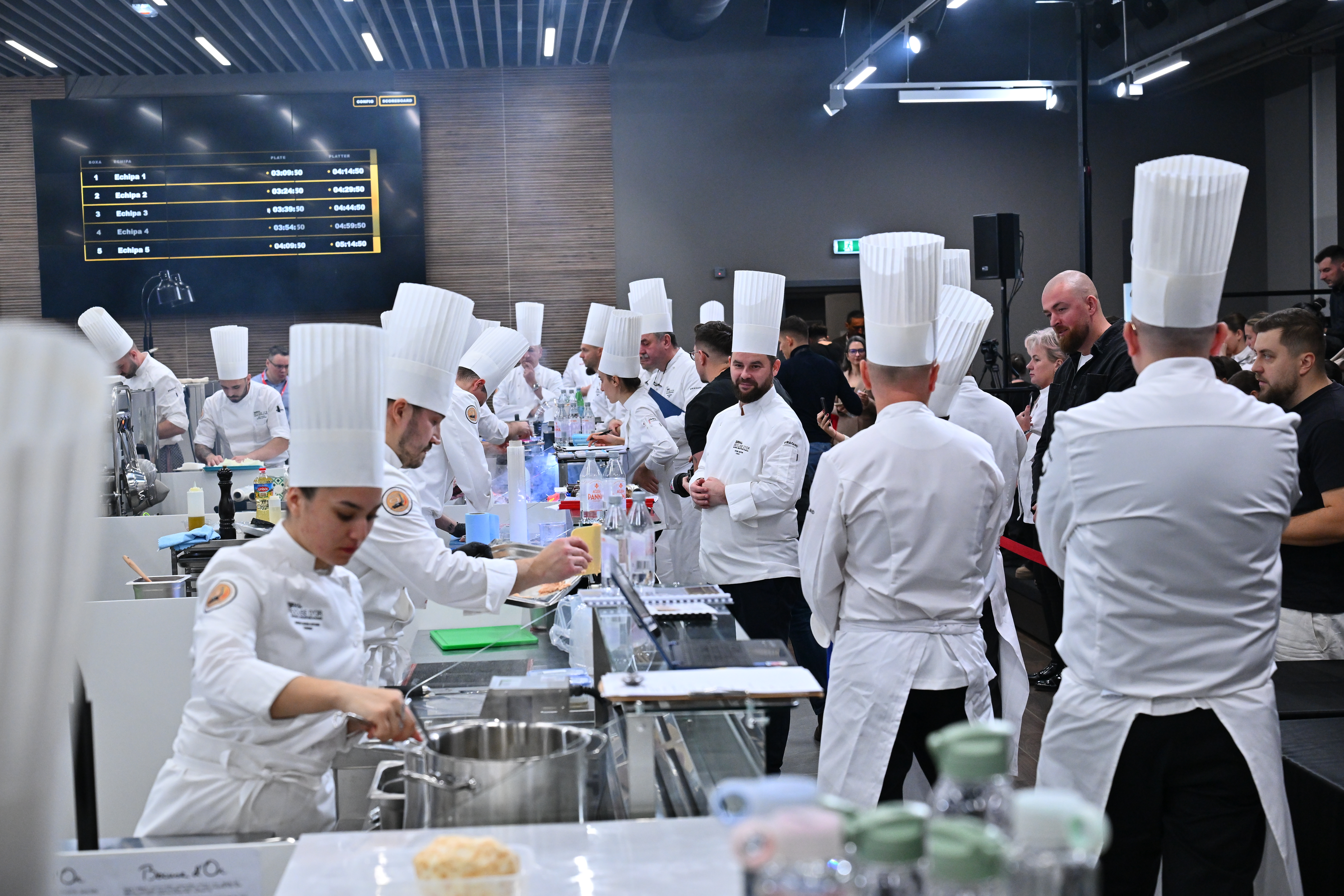 Cum au ajuns românii printre cei mai buni bucătari din Europa. Preparatele care i-au dus pe chefii din țara noastră la „Cupa Mondială a Gastronomiei”