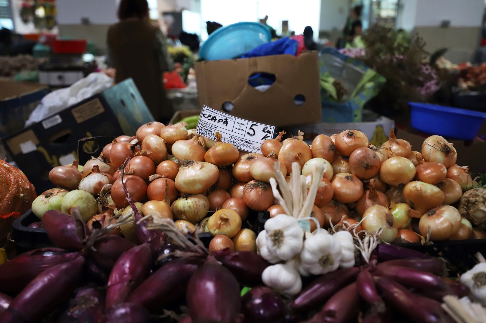 Cât costă să cumperi ingrediente pentru 10 borcane de zacuscă: calculul pentru rețeta tradițională cu vinete, ardei kapia, gogoșari și ceapă
