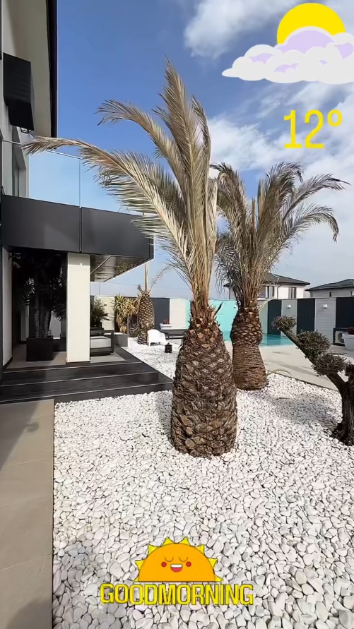 Imagini din curtea casei lui Dorian Popa, decorată cu pietre albe și palmieri. Nu are nici gazon, nici flori: „Am dat drumul la piscinică”