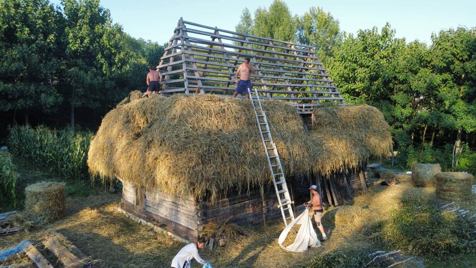 Șurile cu acoperiș din paie, construcțiile arhaice din Apuseni care rezistă de peste 100 de ani. Drumul nou care le face accesibile turiștilor