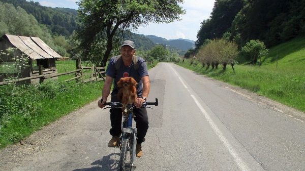 Cățelușul biciclist Zorică adoră să fie plimbat GALERIE FOTO