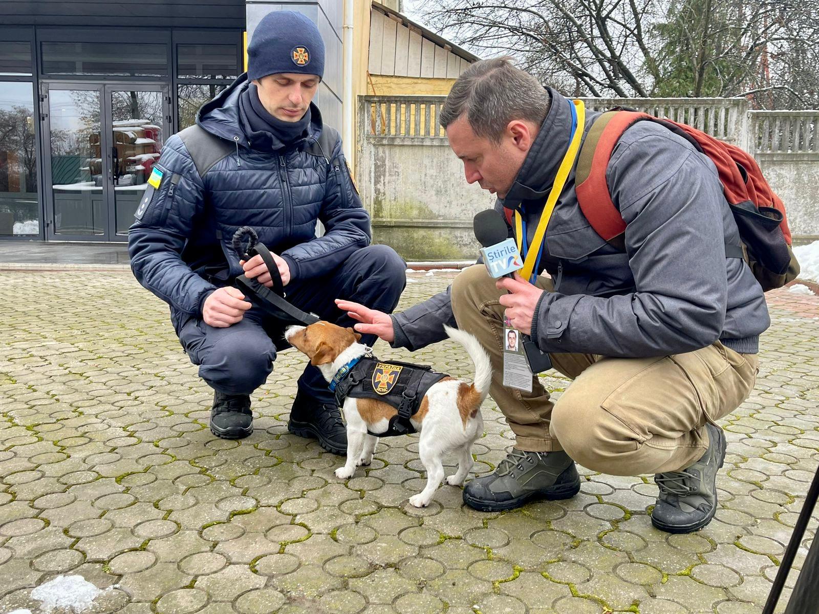 Cum se trăiește pe frontul din Ucraina. Relatările lui Alex Costache, jurnalistul TVR care a mers de 13 ori în mijlocul războiului: „Se auzeau obuzele cum vâjâiau în aer. Cădeau la 500 de metri de locul unde ne aflam”