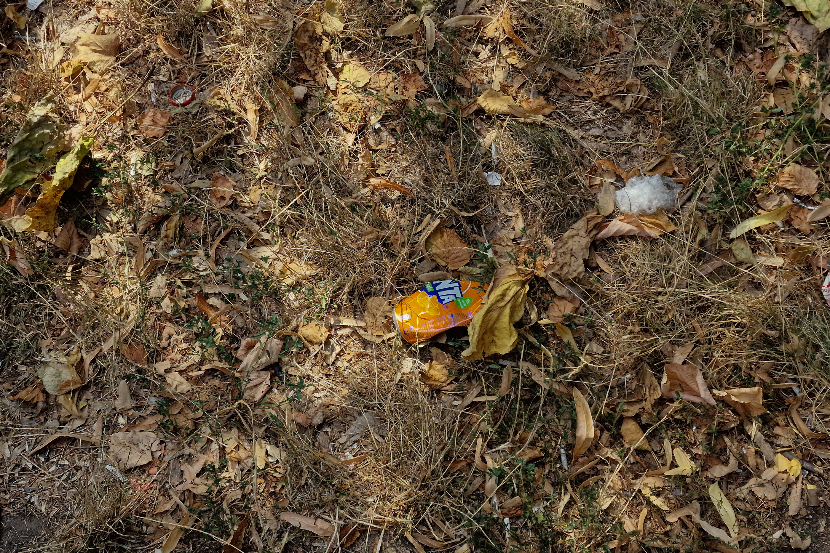 FOTO. În Parcul Circului din București, toată iarba e pârjolită. Rezistă, în schimb, gunoaiele