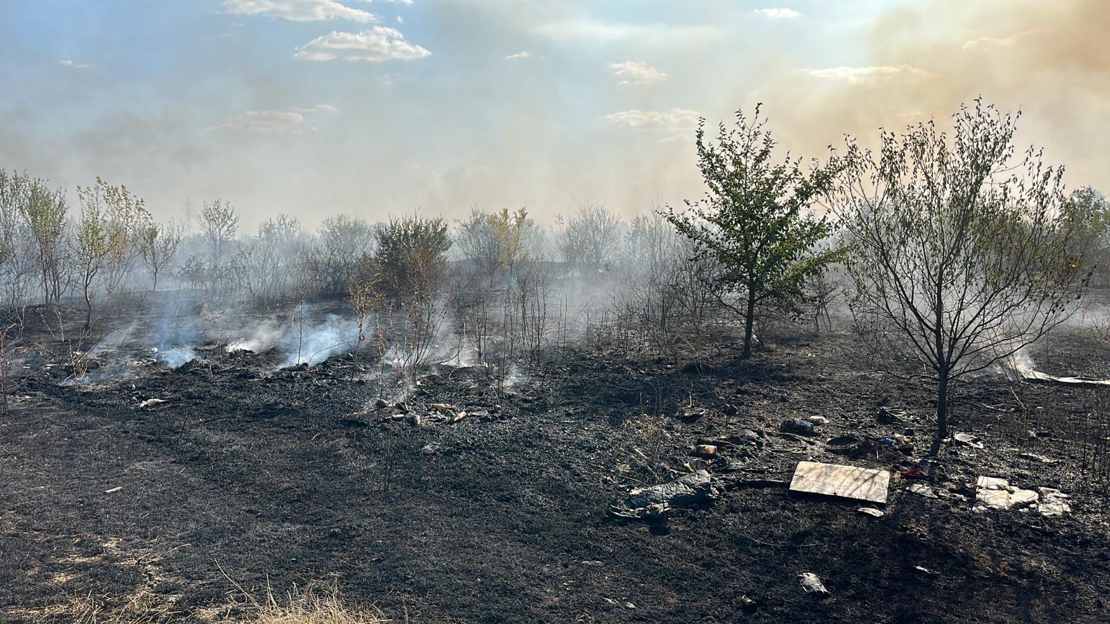 Incendii de vegetație lângă București, 350.000 mp afectați. ISU: „Focul s-a extins din cauza vântului”