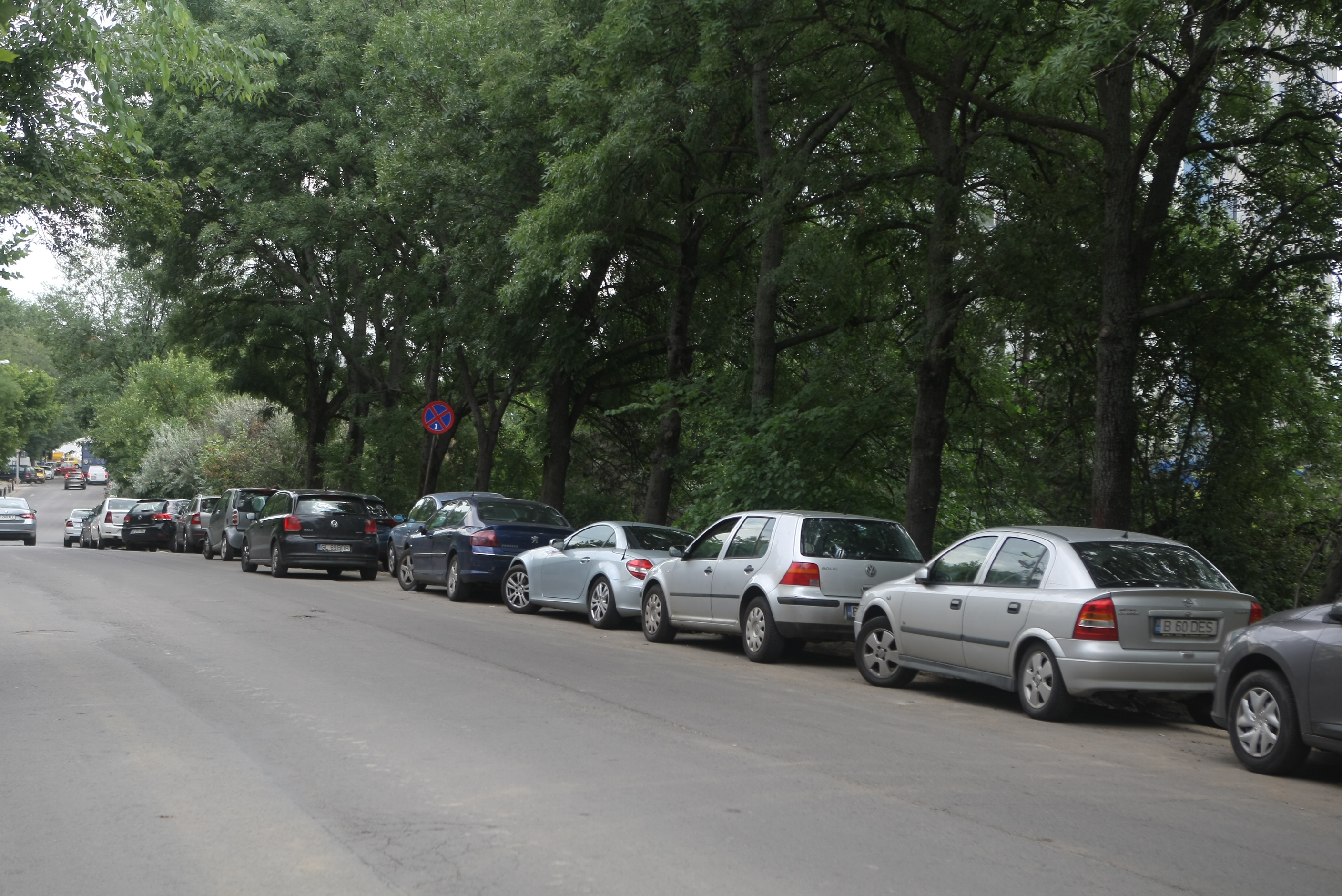 #salvatipipera | Noi măsuri în urma campaniei Libertatea: Primăria Sectorului 2 a montat garduri pentru a împiedica parcarea ilegală pe str. Gara Herăstrău