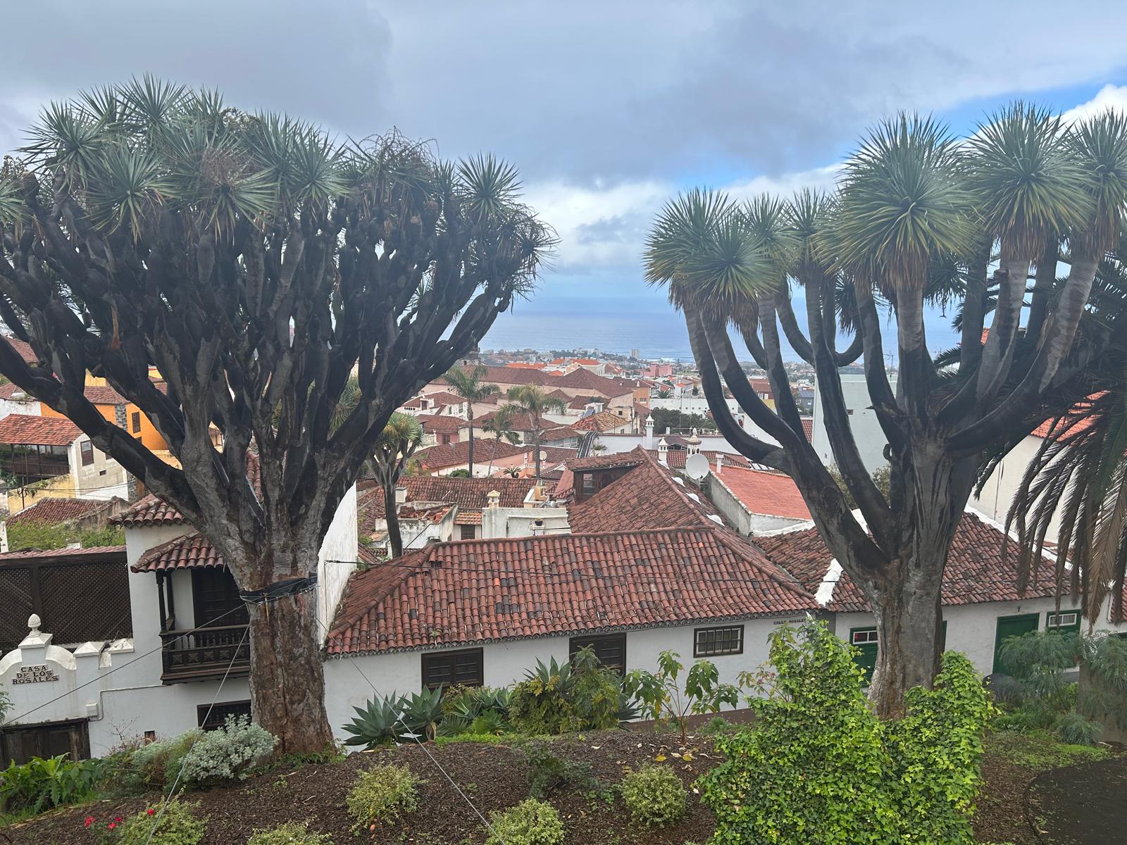 Ce înseamnă „dramatic scene mountain”. Cum ajungi la Masca, satul uitat din Tenerife