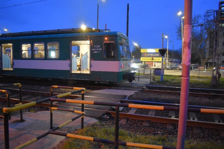 Meghalt az a 14 éves fiú, akit telefonozás közben ütött el a HÉV Budapesten