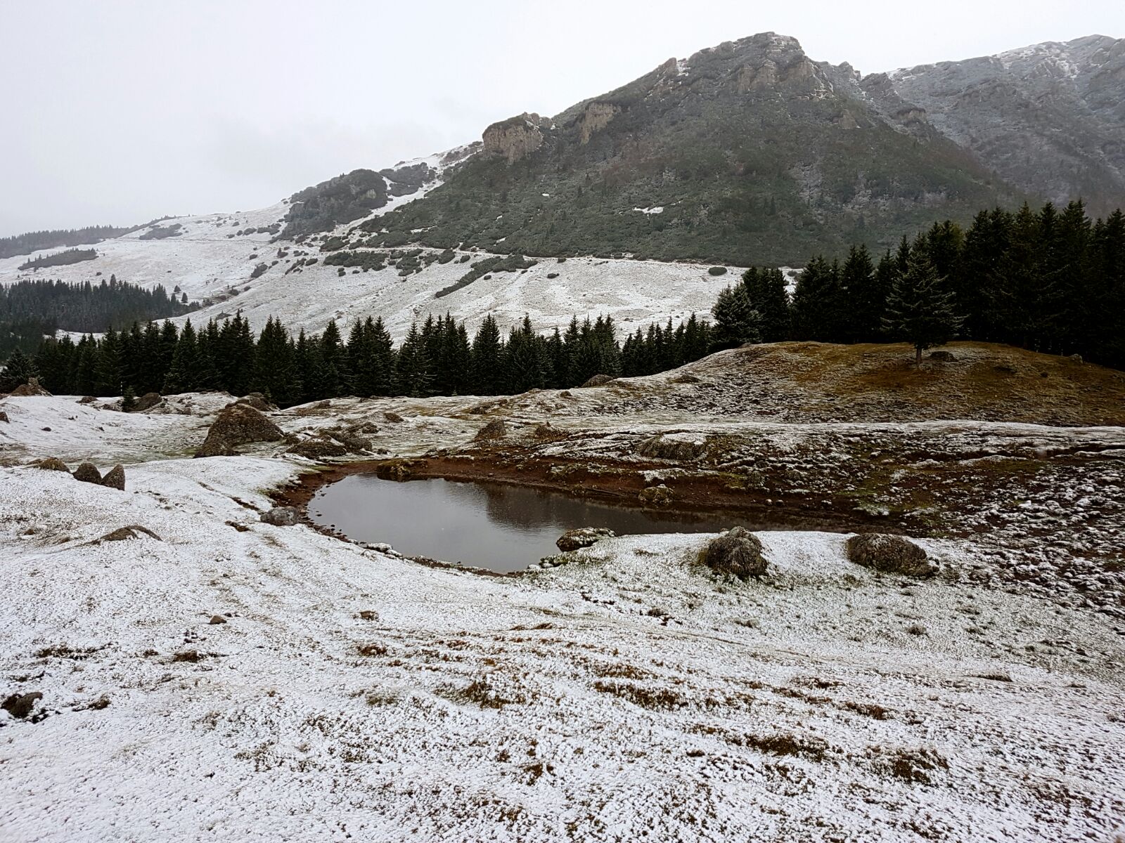 Ninge în stațiunile de pe Valea Prahovei | GALERIE FOTO