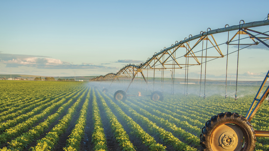 Top 10 African countries with the largest agricultural land area