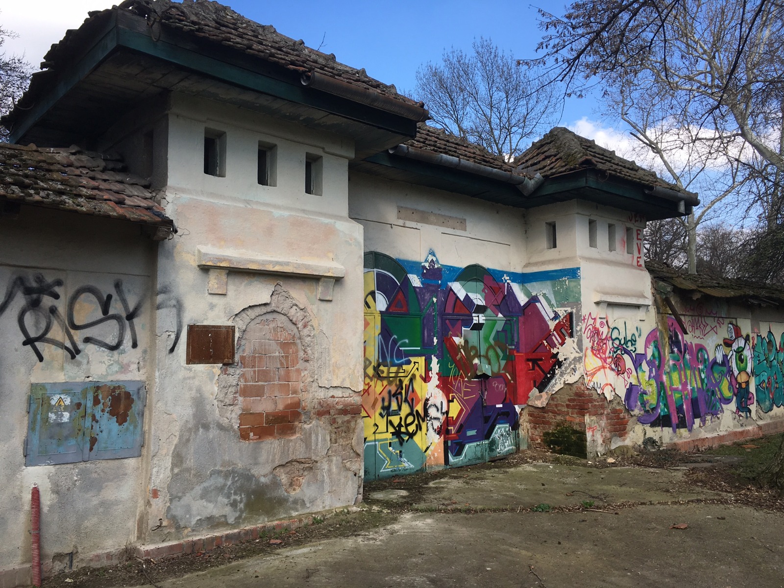 FOTO/ Cel mai important centru de natație al Timișoarei a murit din nepăsare. Ajunsă o ruină, fosta bază sportivă Uszoda este un focar de infecție