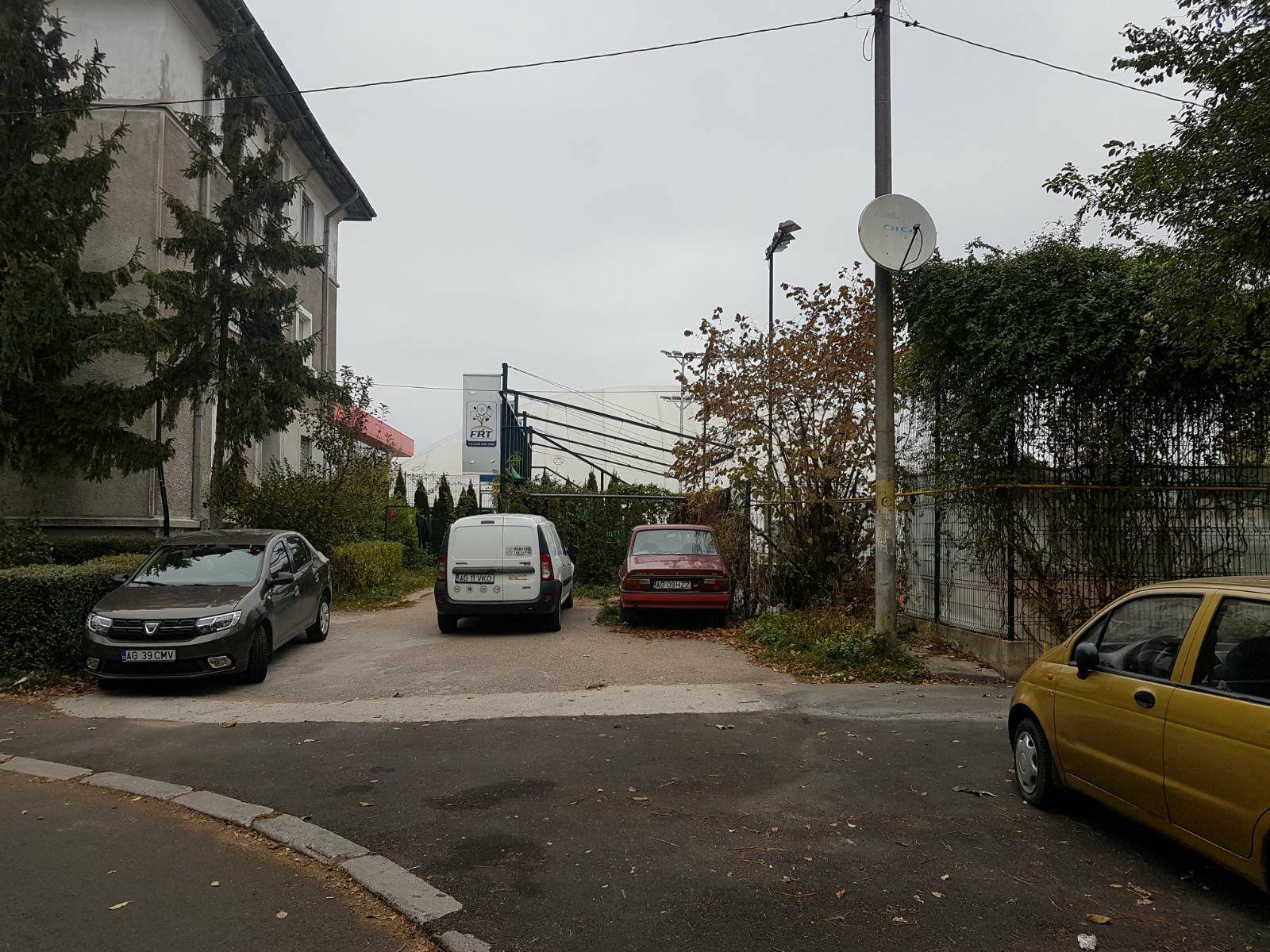 Prima reacție a iubitului Simonei Halep. Libertatea l-a găsit pe Radu Barbu / VIDEO