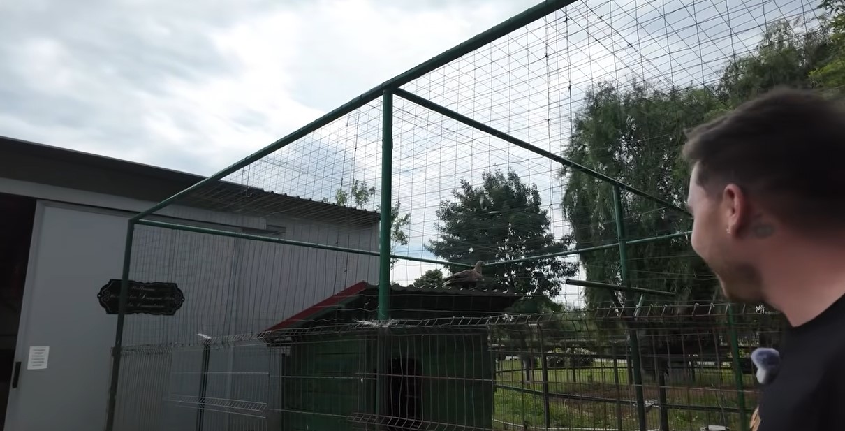 Imagini rare cu proprietatea lui Nuțu Cămătaru. Cum arată domeniul din Ferentari unde sunt crescuți cai și animale exotice