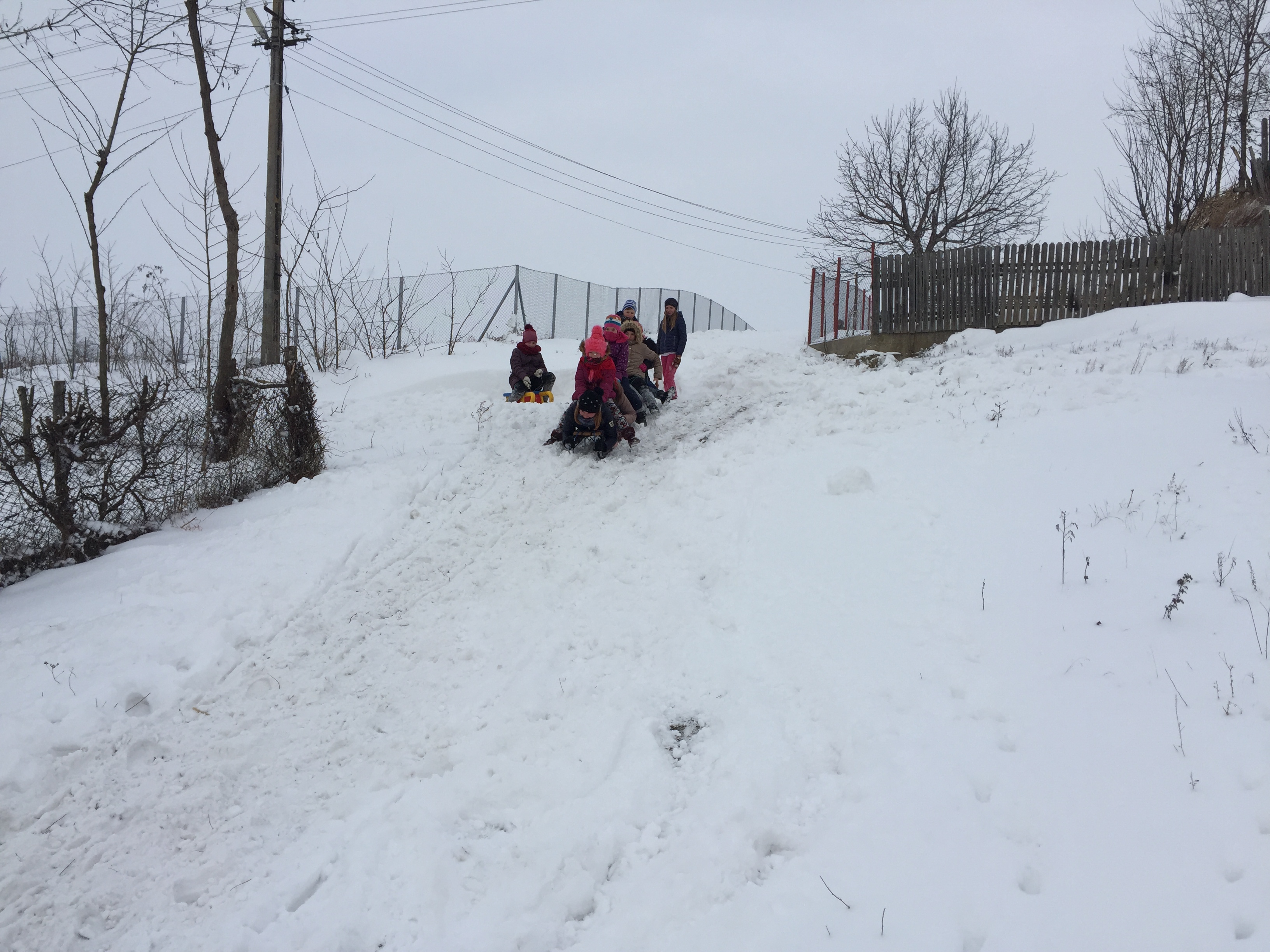Zăpada a adus bucurie elevilor din Botoșani! Au ieșit la șăniuș în loc să meargă la școală