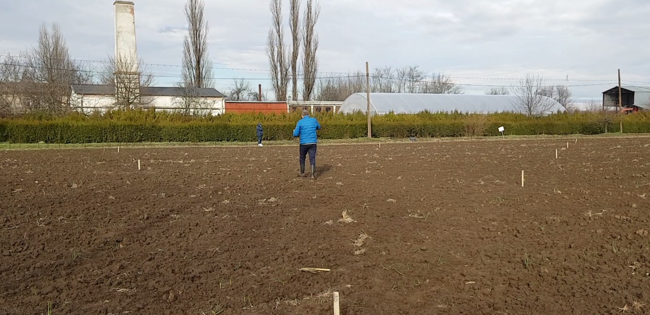 VIDEO/ Invenție românească. Tractorul care omoară buruienile cu apă chioară