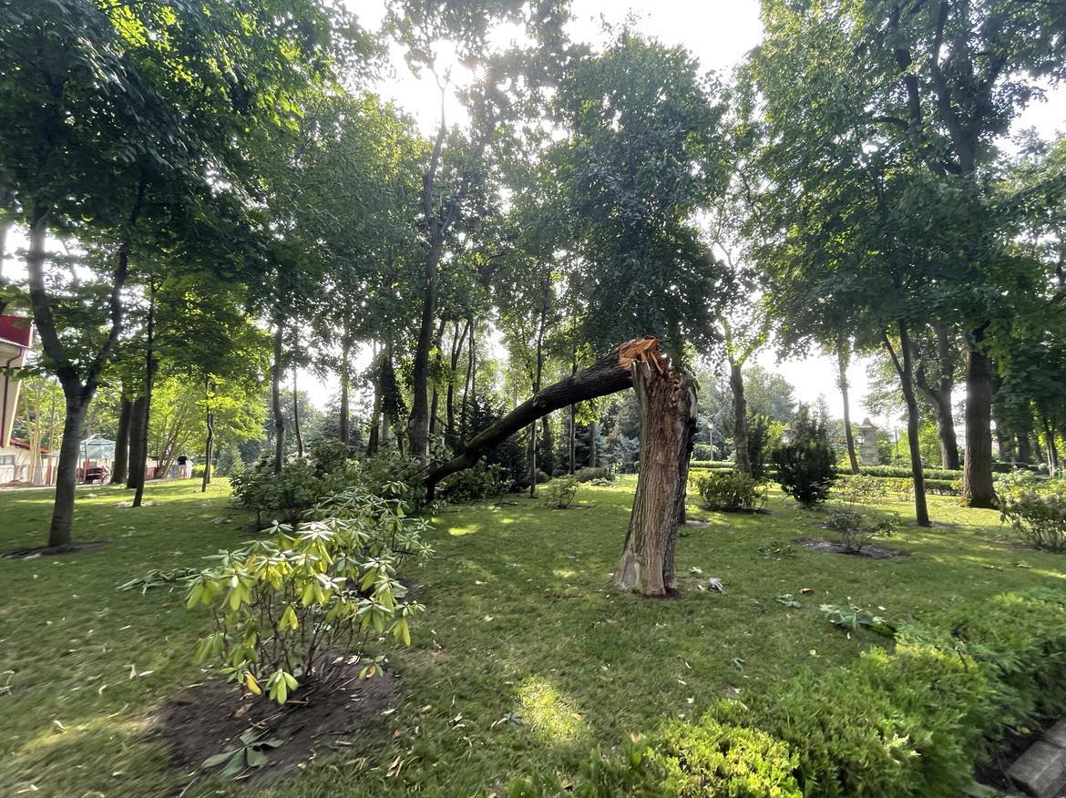 Cum arată Parcul Copou din Vaslui după ce a fost lovit de o furtună violentă. Copaci de 10 metri înălțime, smulși din rădăcină 