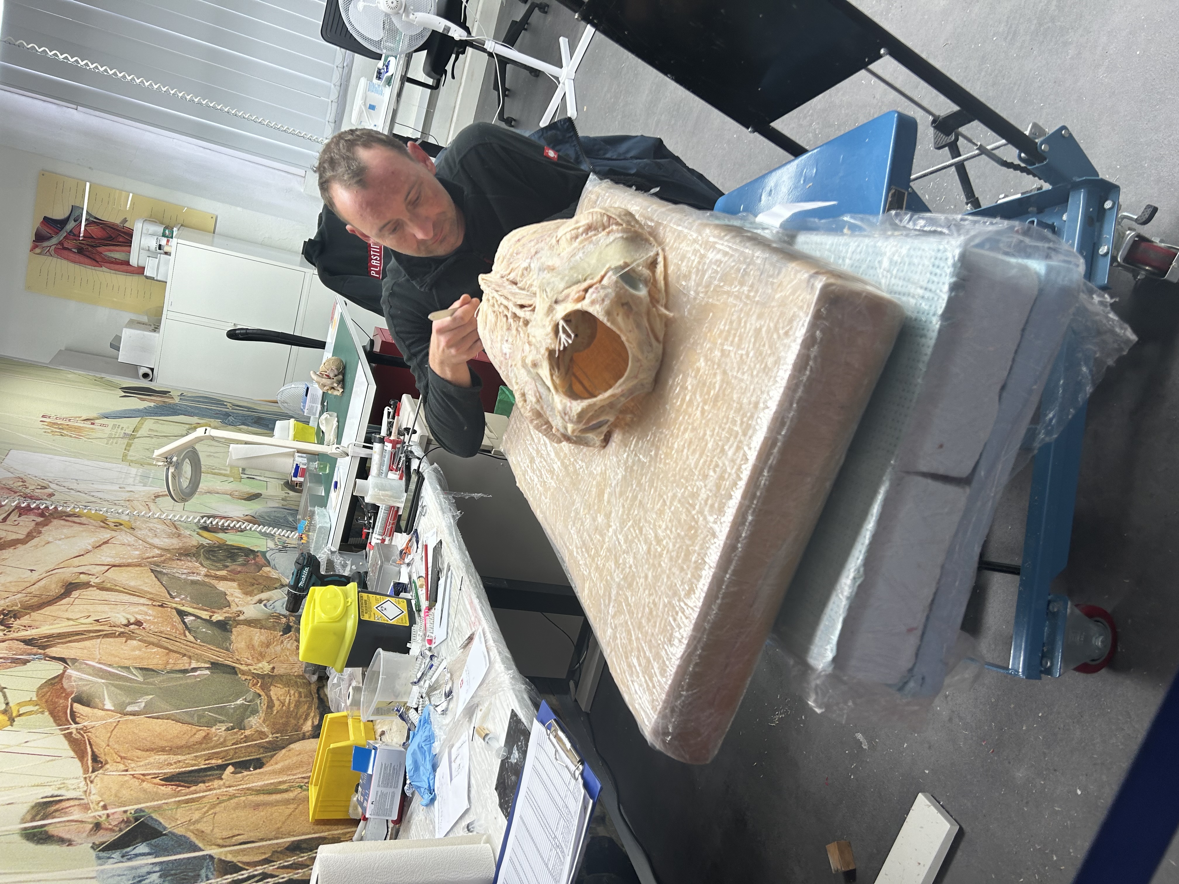 Tulburătoarea expoziție de „plastinate” organizată la București: „De fapt, totul este despre viață, nu despre moarte” | Interviu