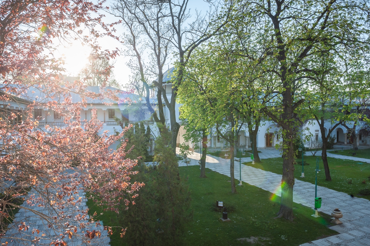 Palatul Cotroceni, strada Geniului. Istoria completă a locului de unde se conduce România