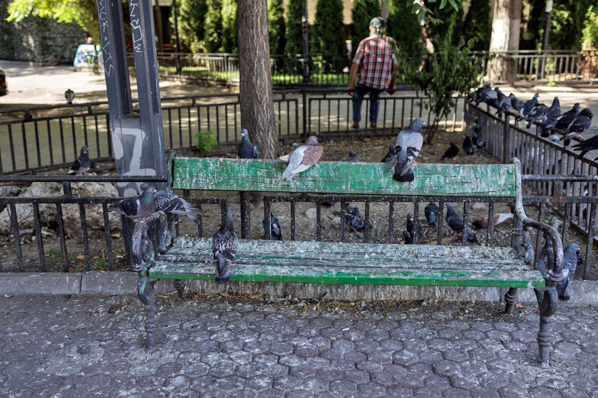 Curățarea Centrului Istoric a început, dar nu se vede. Cea mai profitabilă zonă turistică din București arată deplorabil