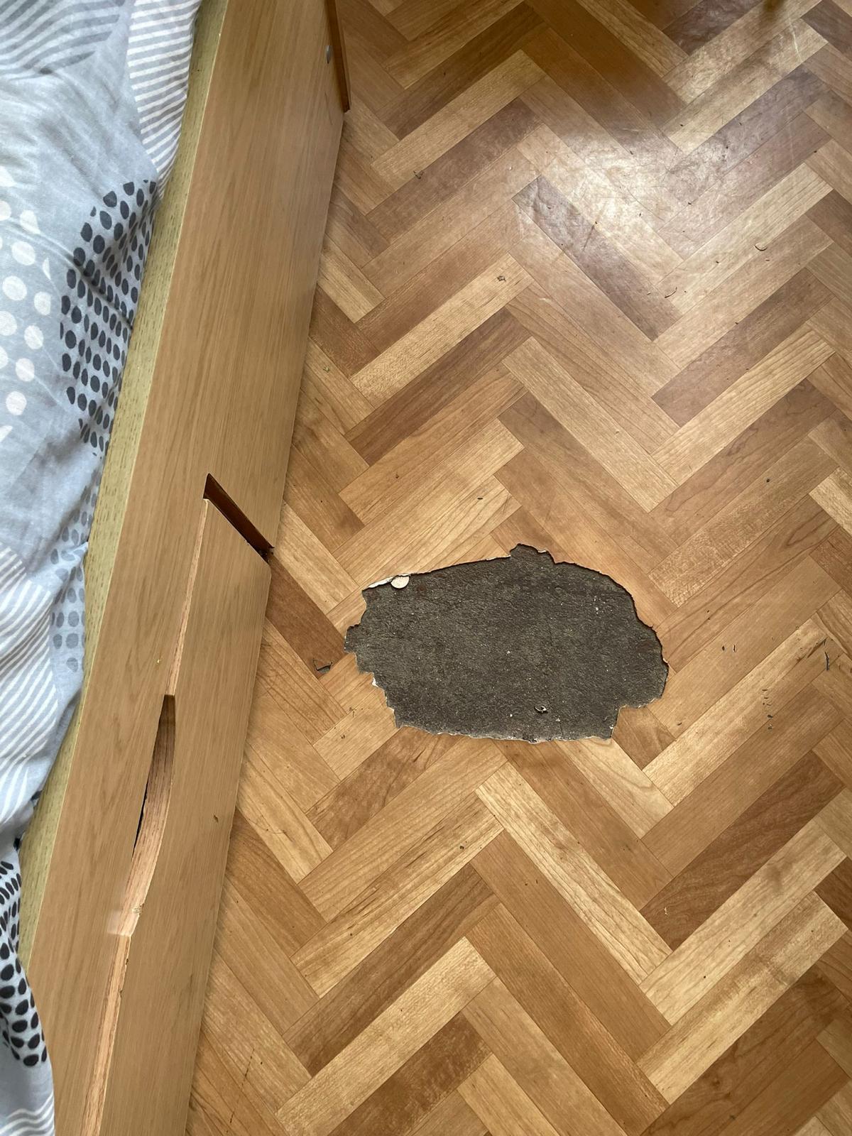 Cămin murdar, cu saltele pătate și gândaci pentru liceenii veniți în tabăra de vară a Universității din București. „Tu ai sta aici?”