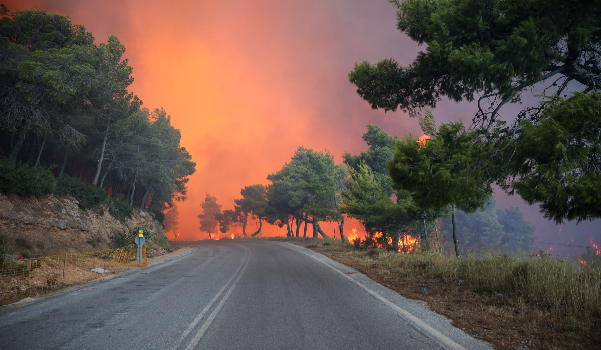 Pompierii români au luptat toată noaptea cu incendiile din Grecia: misiune critică în Attica pentru salvarea caselor și animalelor din calea flăcărilor
