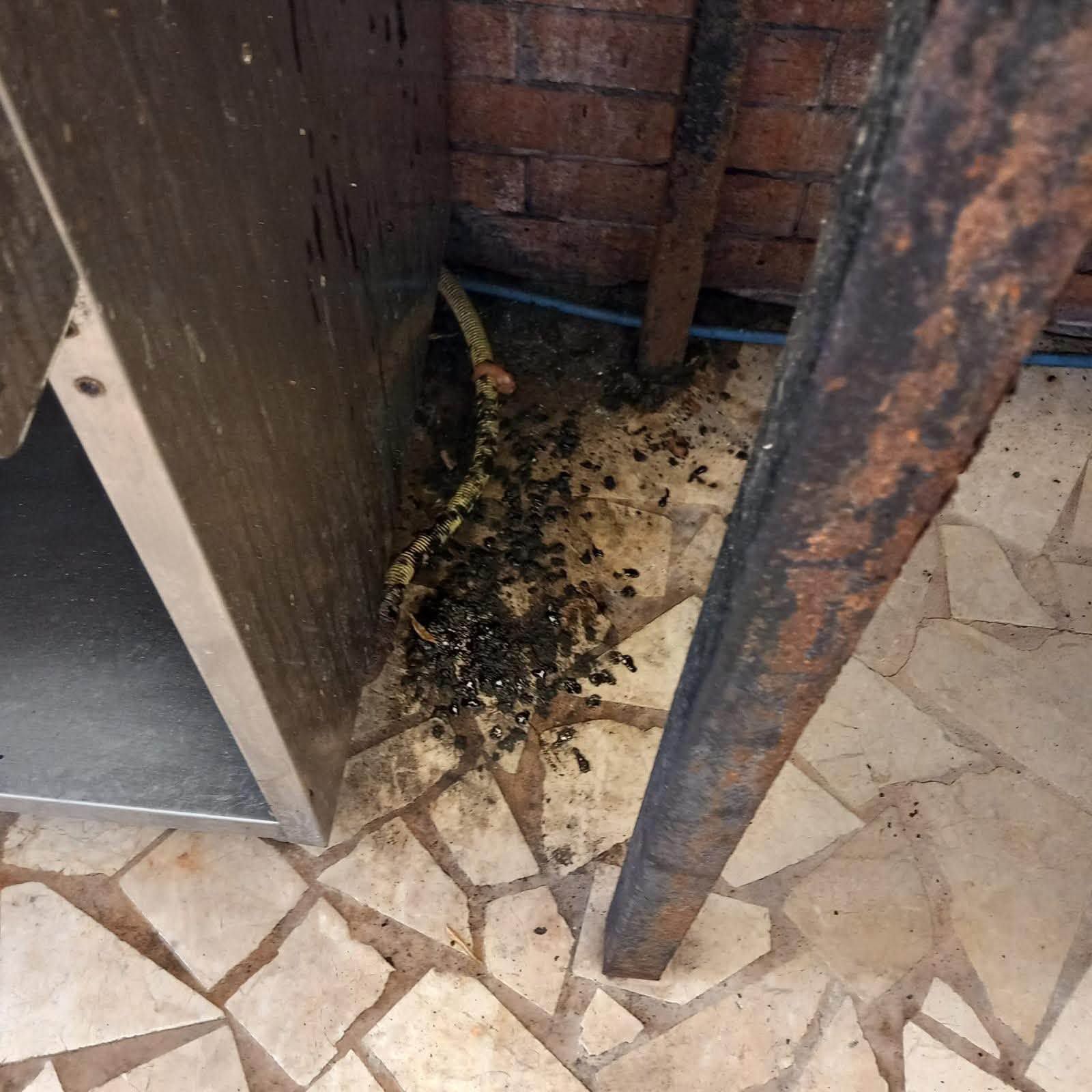 Camere cu mucegai, piscine periculoase și mâncare expirată. Comisarii ANPC au dat amenzi uriașe pe litoral în plin sezon estival