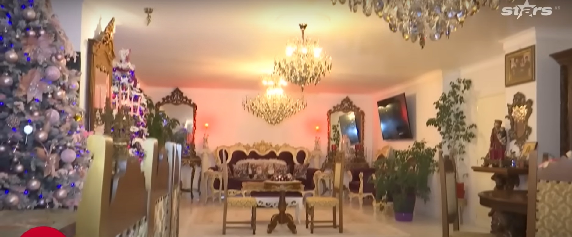 Imagini din casa Medanei și a lui Alin Oprea, decorată de Crăciun. Au împodobit mai mulți brazi, unul chiar și în bucătărie