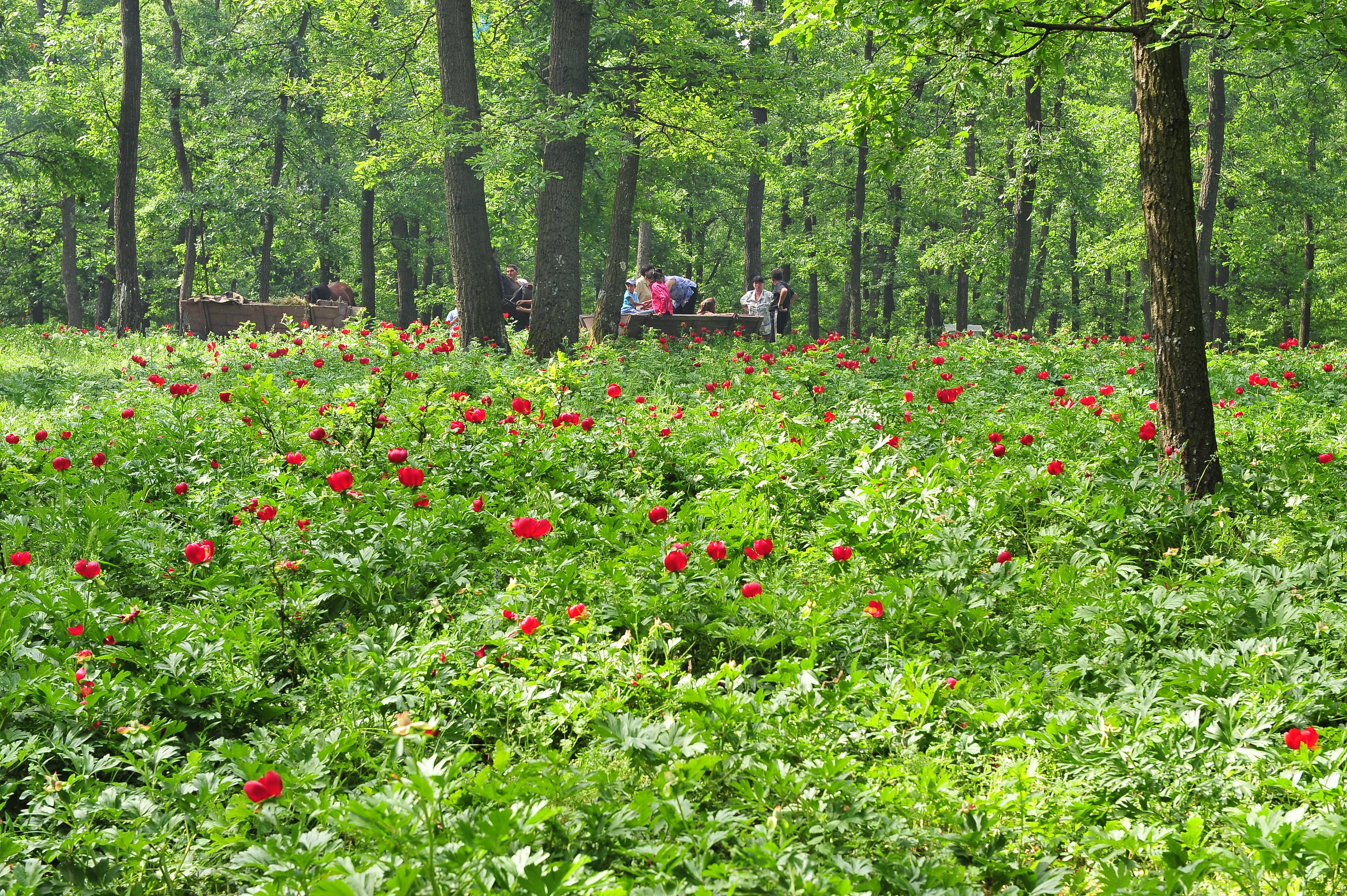 Locuri de vizitat în Craiova - cele mai importante obiective turistice