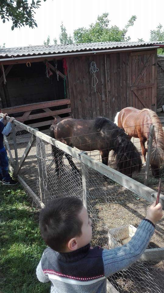 Trei frați pompieri și grădina lor zoologică! Au transformat curtea casei părintești într-un adăpost pentru animale